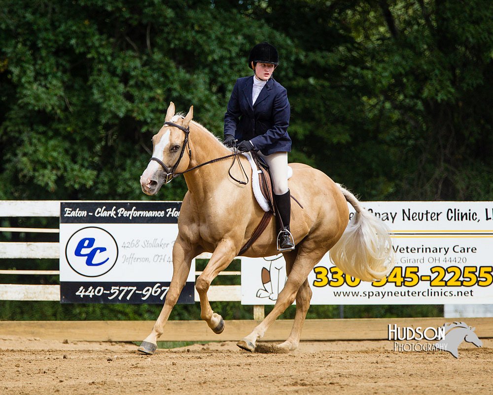 4H-Distr-090813-1662.jpg