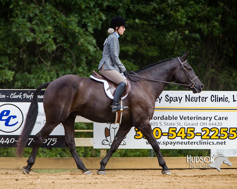 4H-Distr-090813-1665.jpg