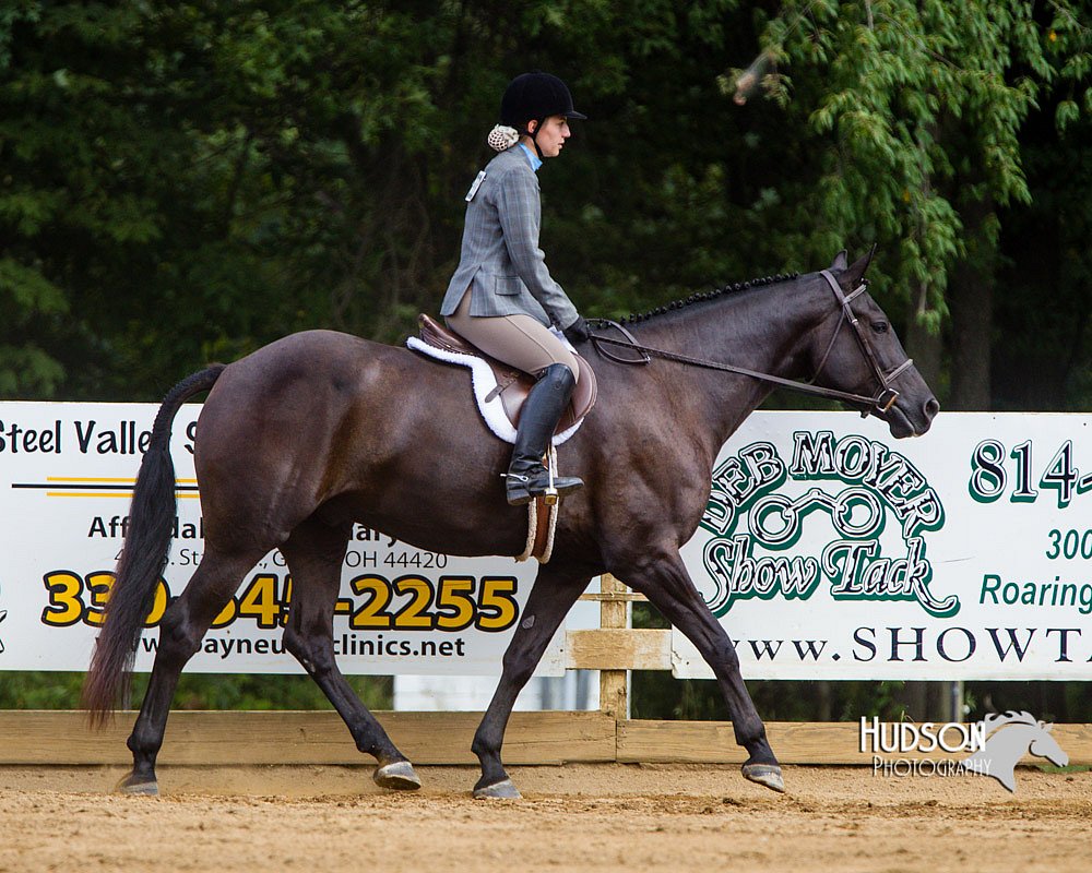 4H-Distr-090813-1666.jpg