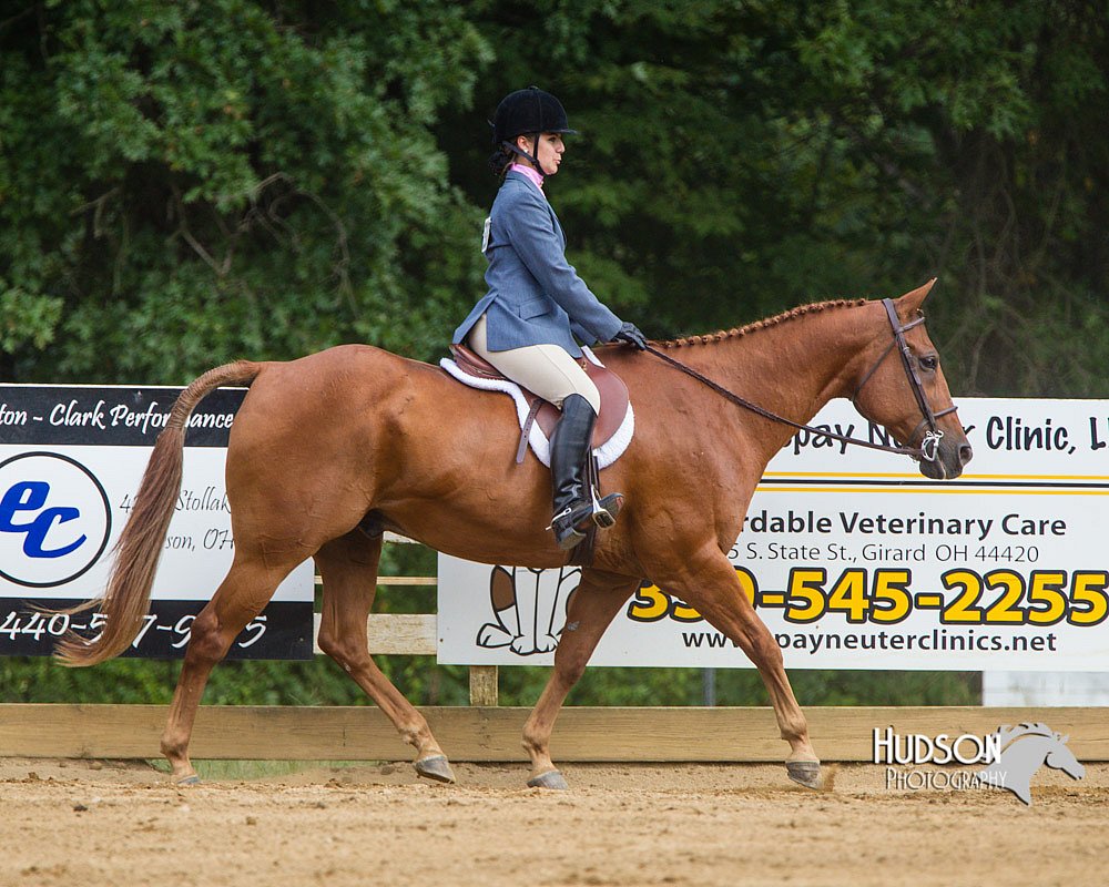4H-Distr-090813-1668.jpg