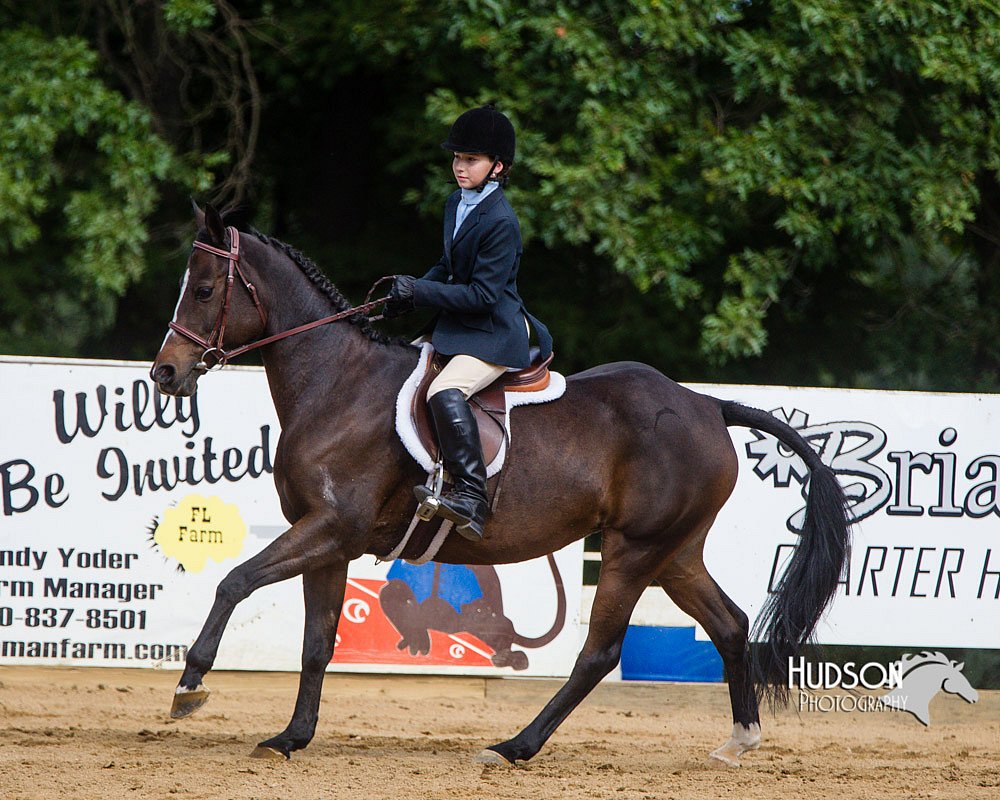 4H-Distr-090813-1698.jpg