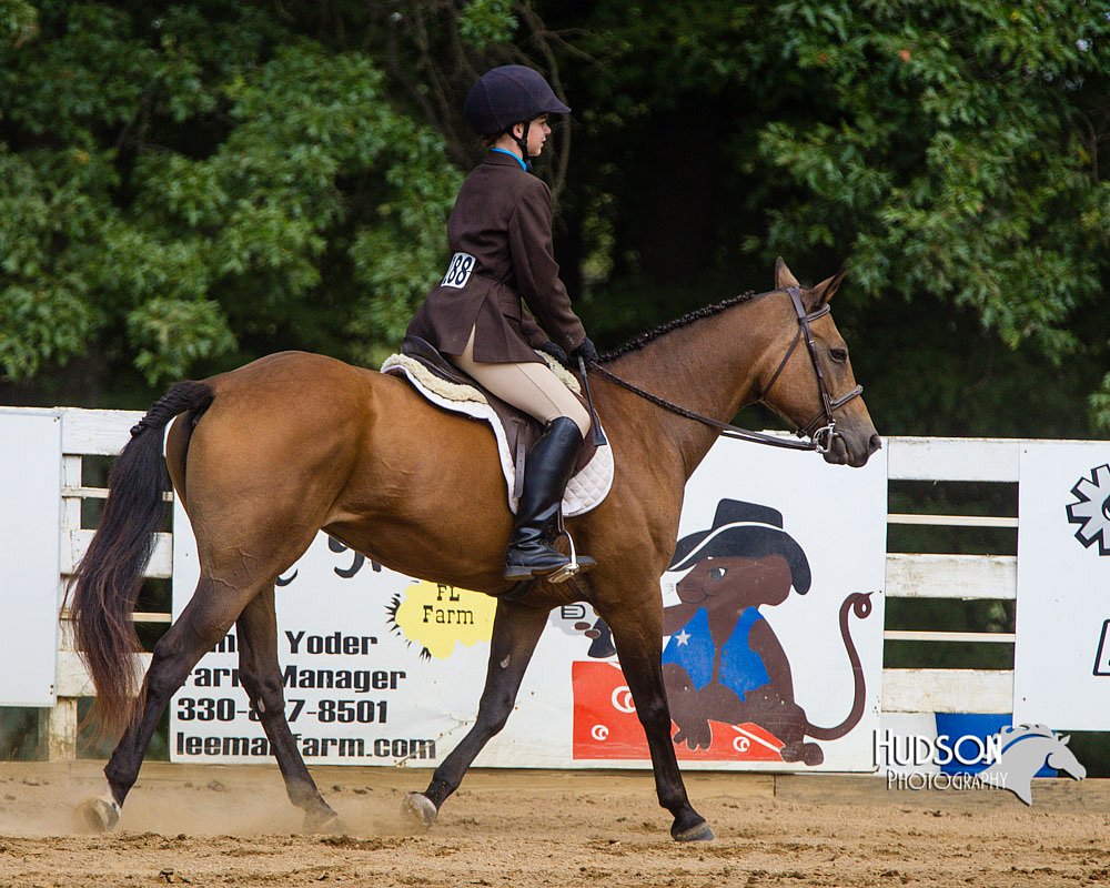 4H-Distr-090813-1701.jpg