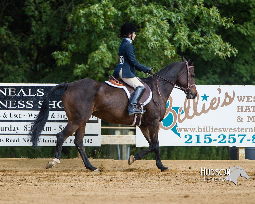 4H-Distr-090813-1705.jpg