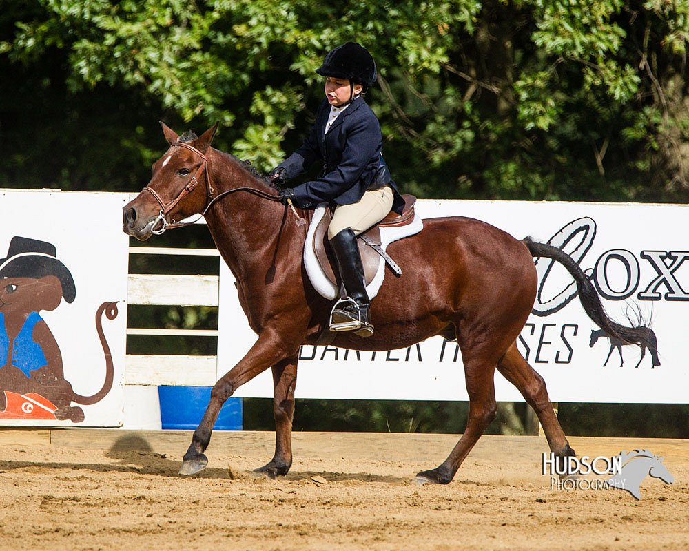 4H-Distr-090813-1686.jpg