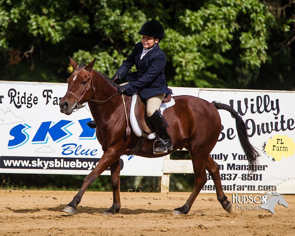 4H-Distr-090813-1687.jpg