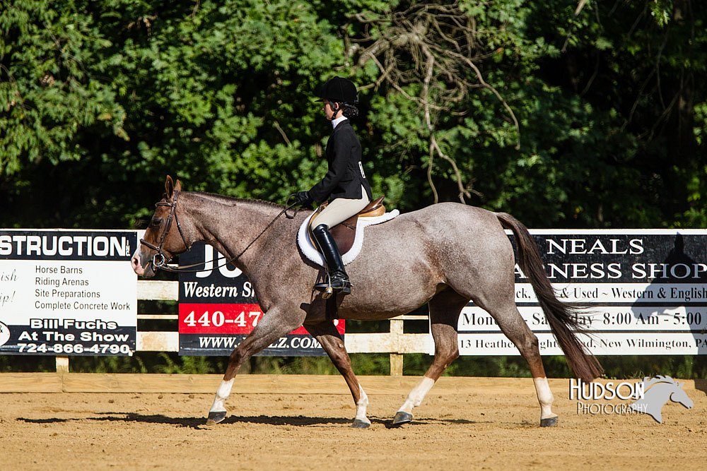 4H-Distr-090813-1770.jpg