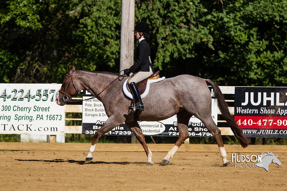 4H-Distr-090813-1771.jpg