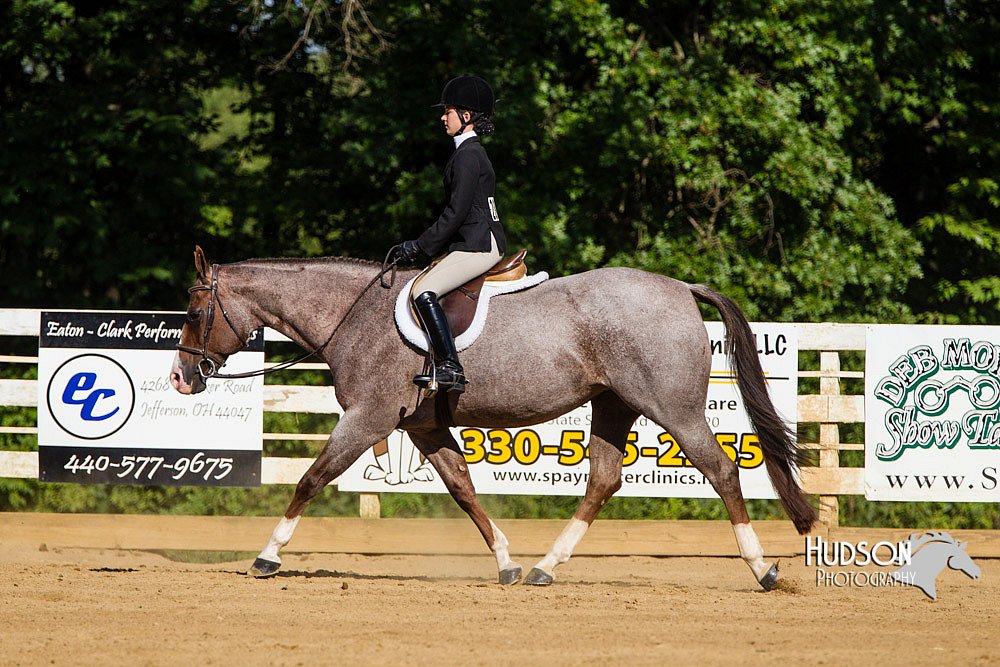 4H-Distr-090813-1772.jpg