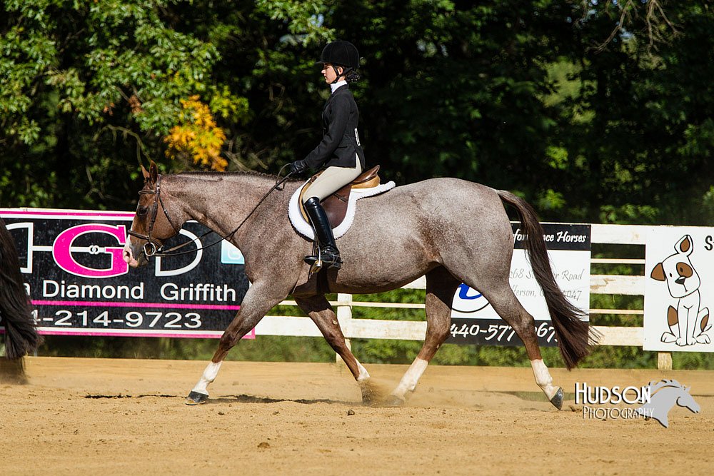 4H-Distr-090813-1773.jpg