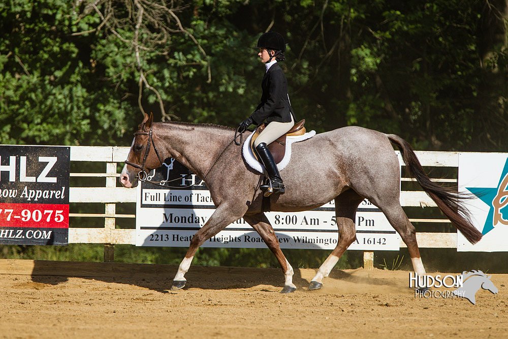 4H-Distr-090813-1778.jpg