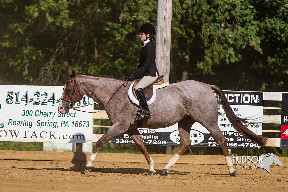 4H-Distr-090813-1780.jpg