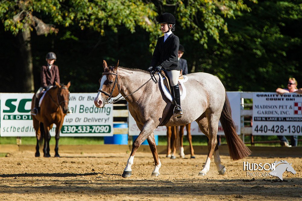 4H-Distr-090813-1791.jpg