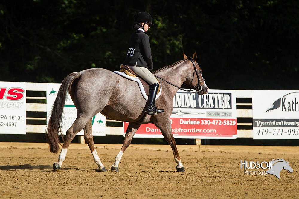 4H-Distr-090813-1792.jpg