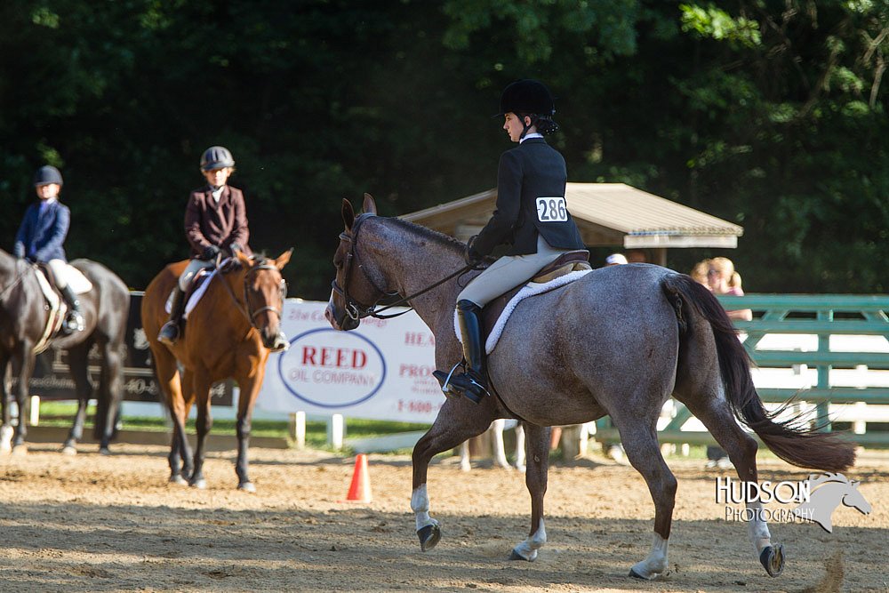 4H-Distr-090813-1798.jpg