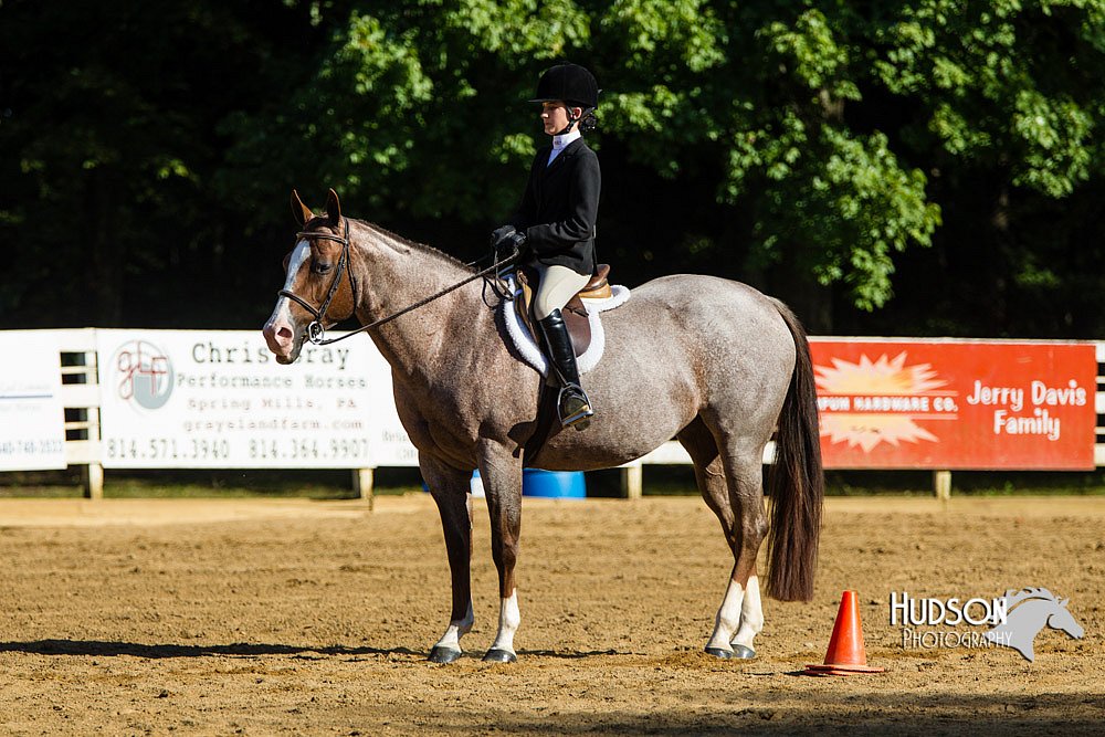 4H-Distr-090813-1799.jpg