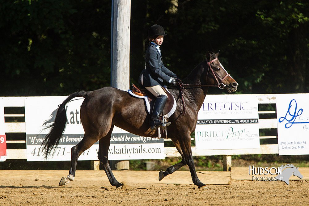 4H-Distr-090813-1801.jpg