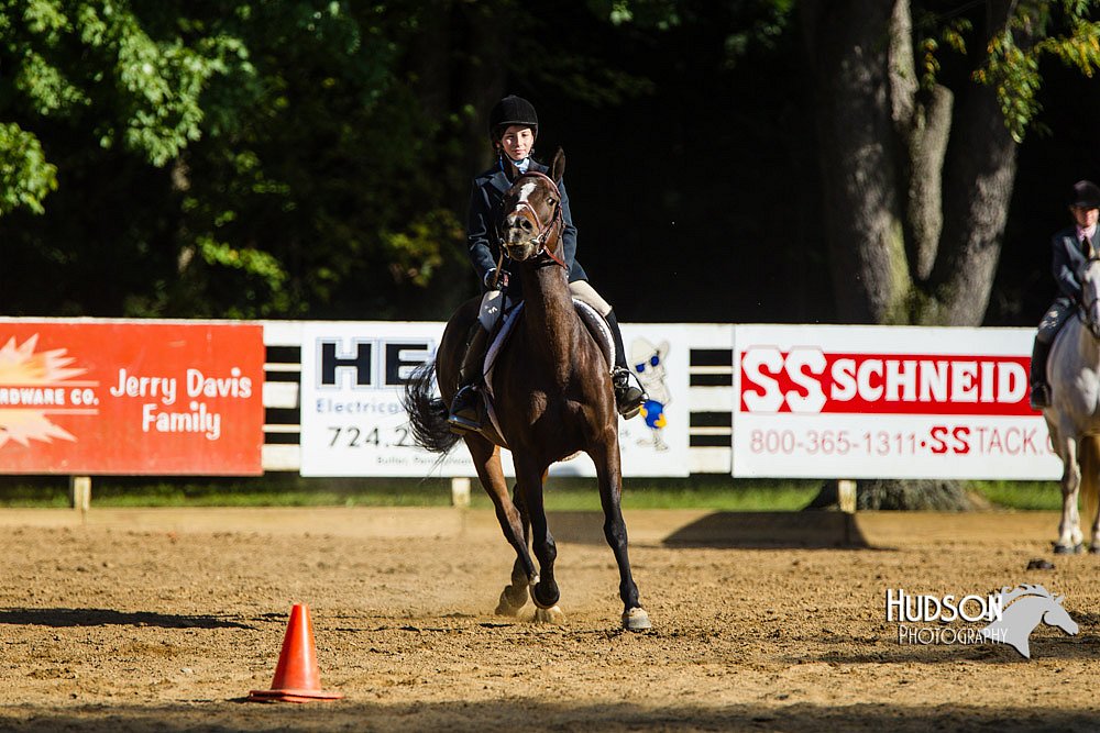 4H-Distr-090813-1802.jpg