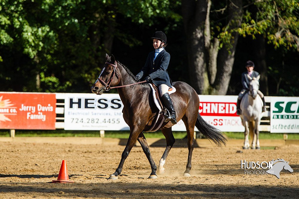 4H-Distr-090813-1804.jpg