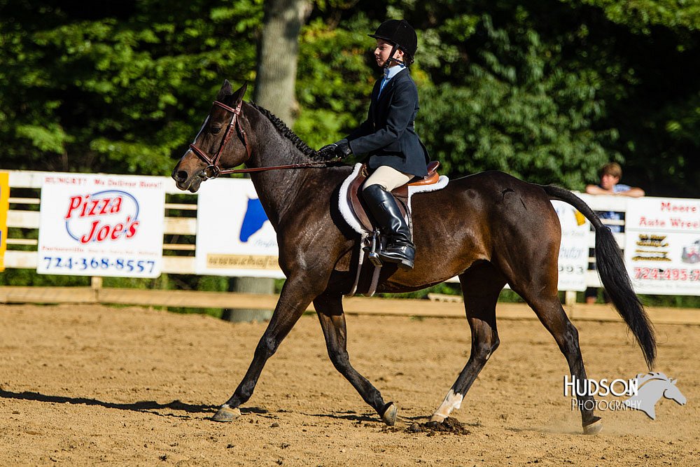 4H-Distr-090813-1807.jpg