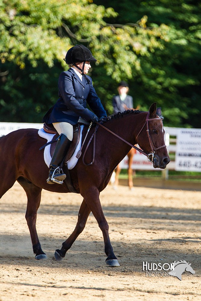 4H-Distr-090813-1810.jpg