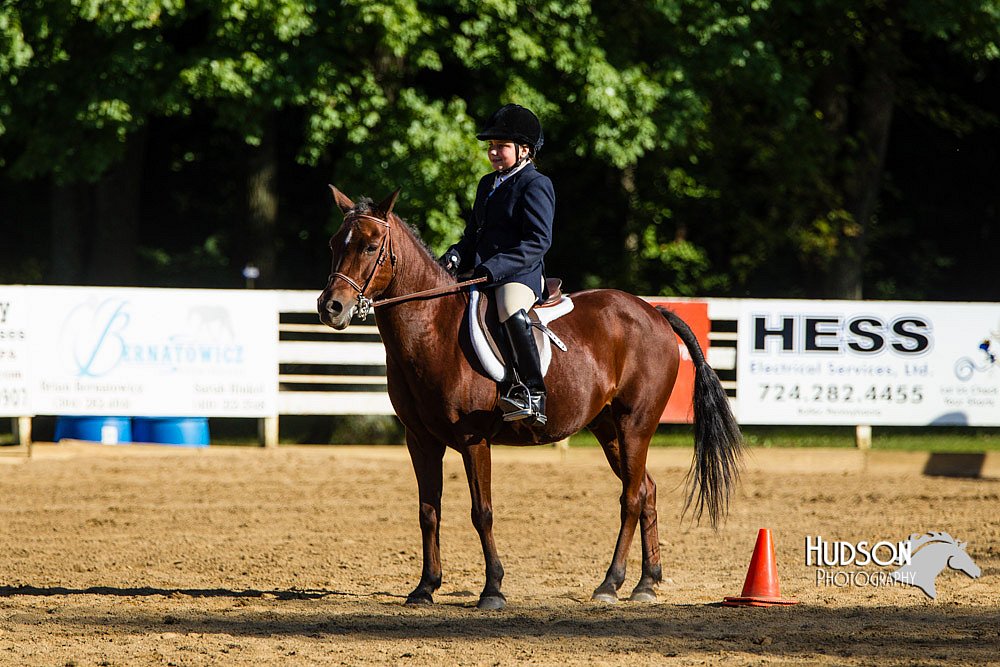 4H-Distr-090813-1811.jpg