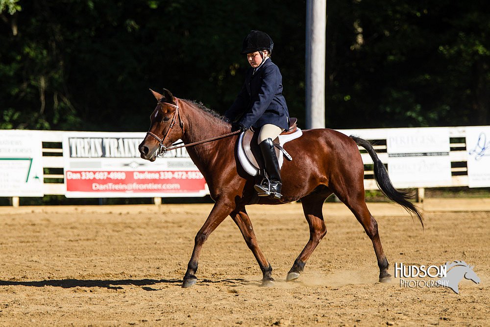 4H-Distr-090813-1813.jpg