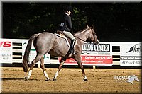 4H-Distr-090813-1792.jpg