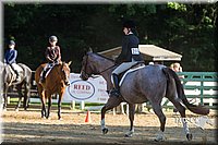 4H-Distr-090813-1798.jpg