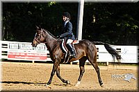 4H-Distr-090813-1805.jpg