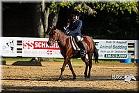 4H-Distr-090813-1808.jpg