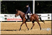 4H-Distr-090813-1813.jpg