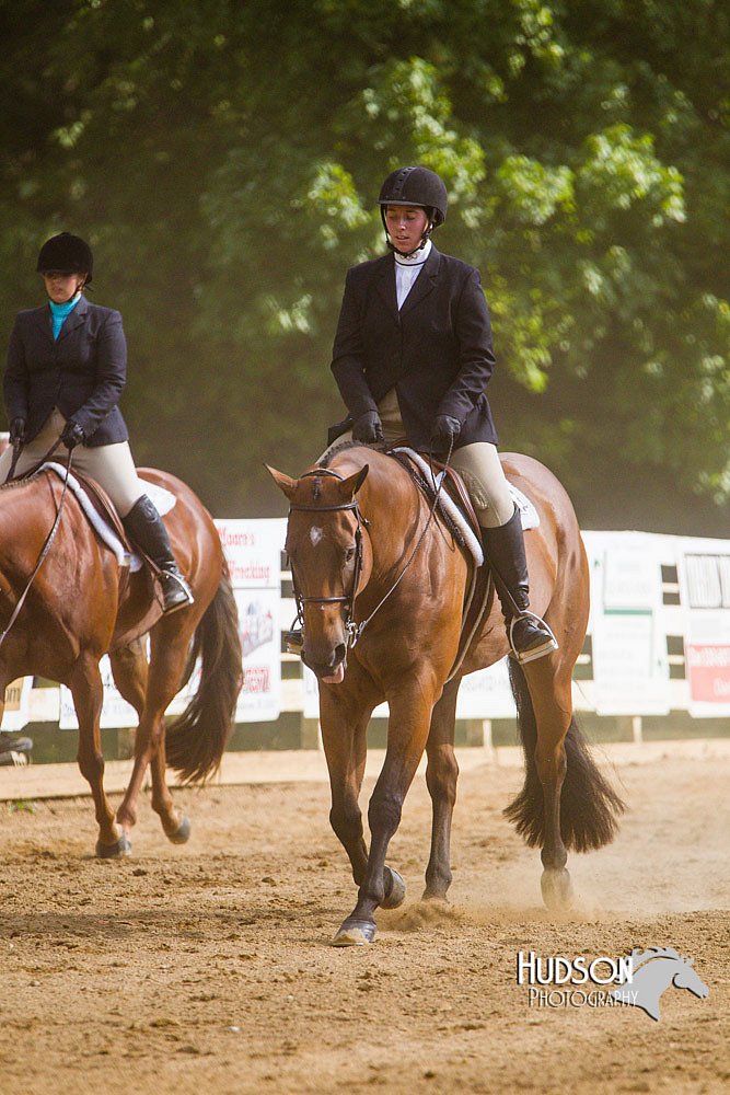 4H-Distr-090813-1714.jpg