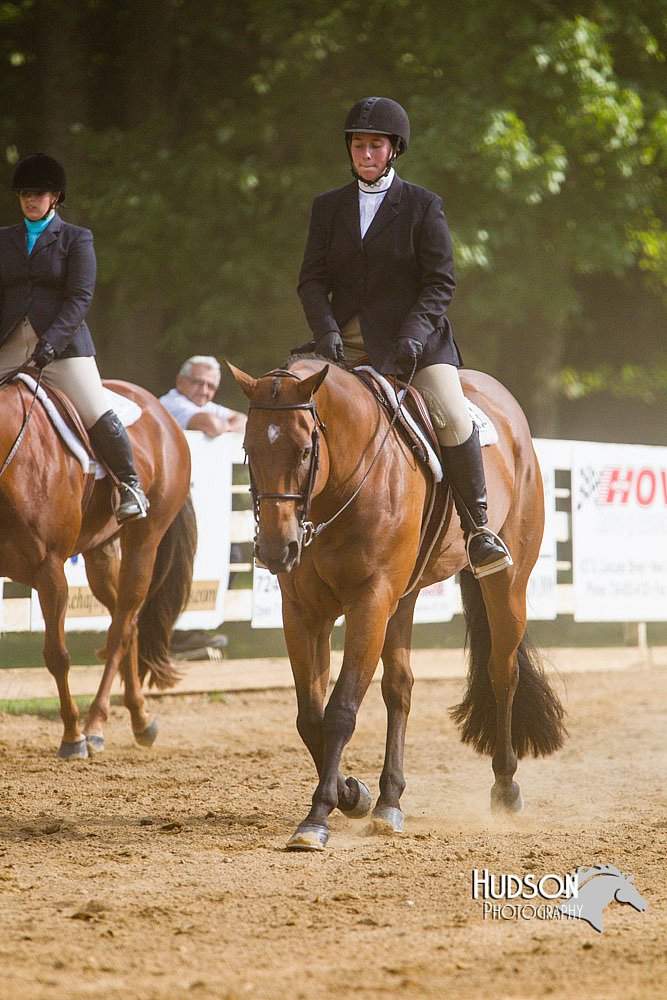 4H-Distr-090813-1715.jpg
