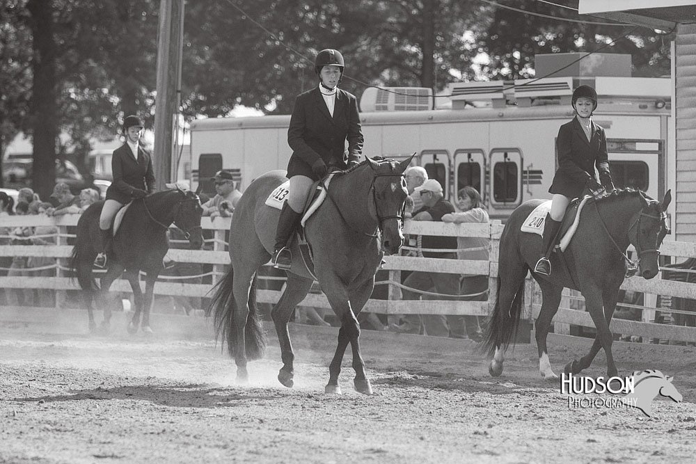 4H-Distr-090813-1726.jpg