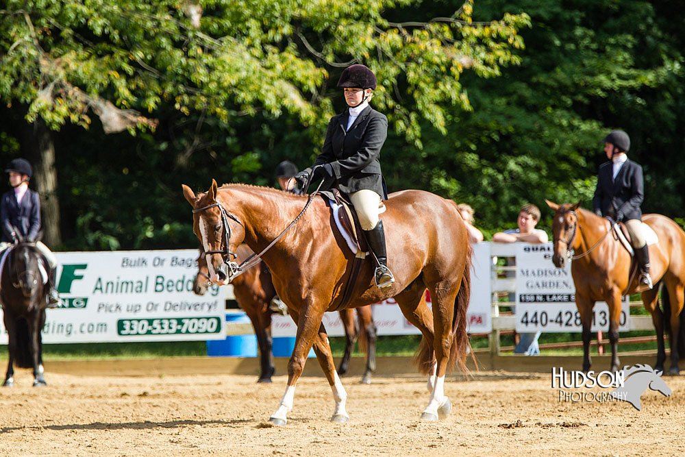 4H-Distr-090813-1731.jpg
