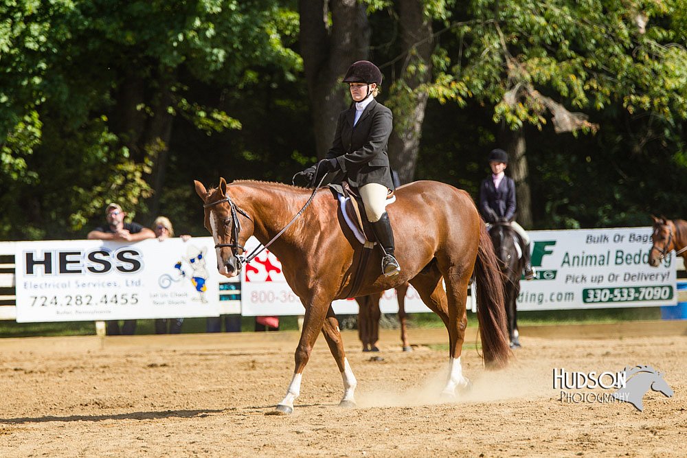 4H-Distr-090813-1732.jpg