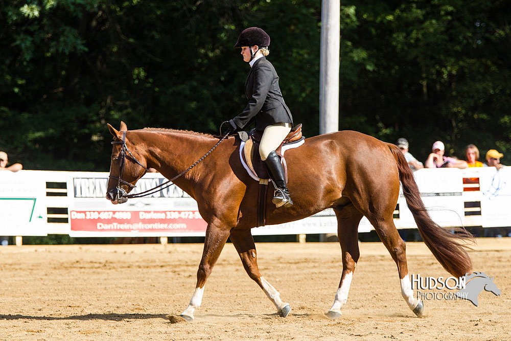 4H-Distr-090813-1734.jpg