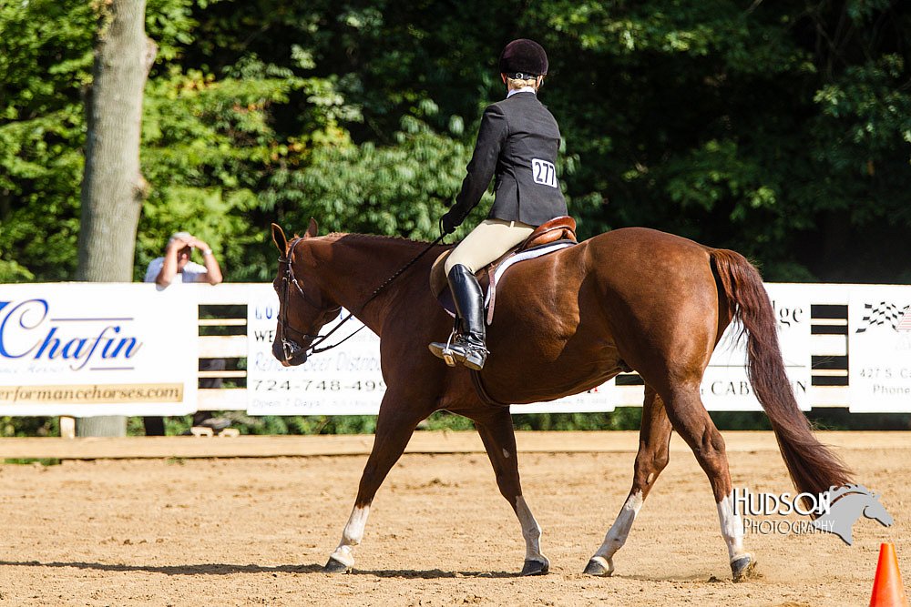 4H-Distr-090813-1735.jpg