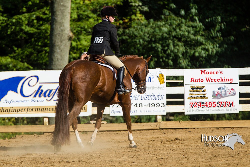 4H-Distr-090813-1736.jpg