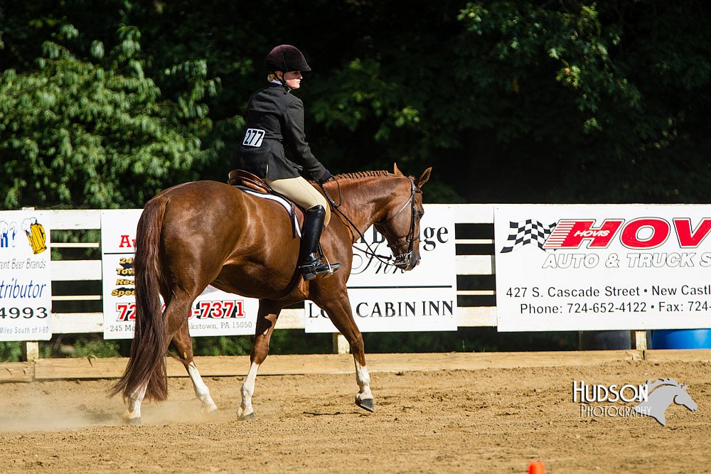 4H-Distr-090813-1737.jpg