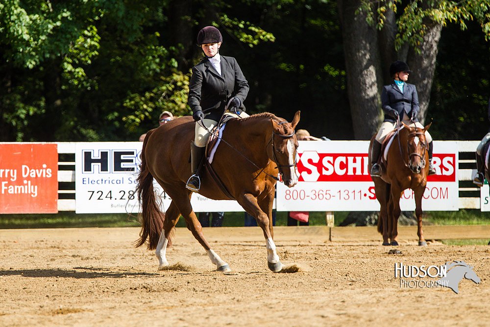 4H-Distr-090813-1738.jpg