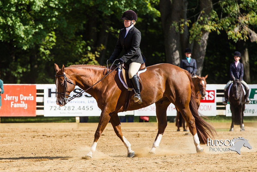 4H-Distr-090813-1742.jpg