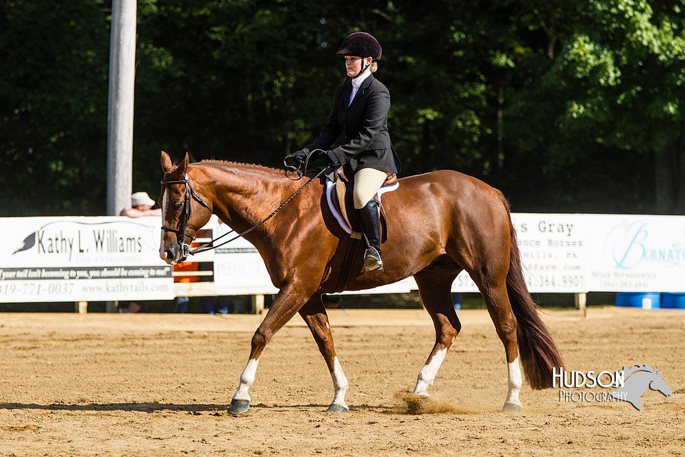 4H-Distr-090813-1744.jpg