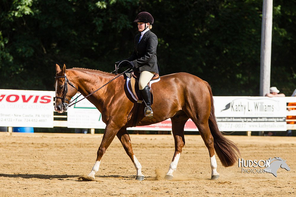 4H-Distr-090813-1745.jpg