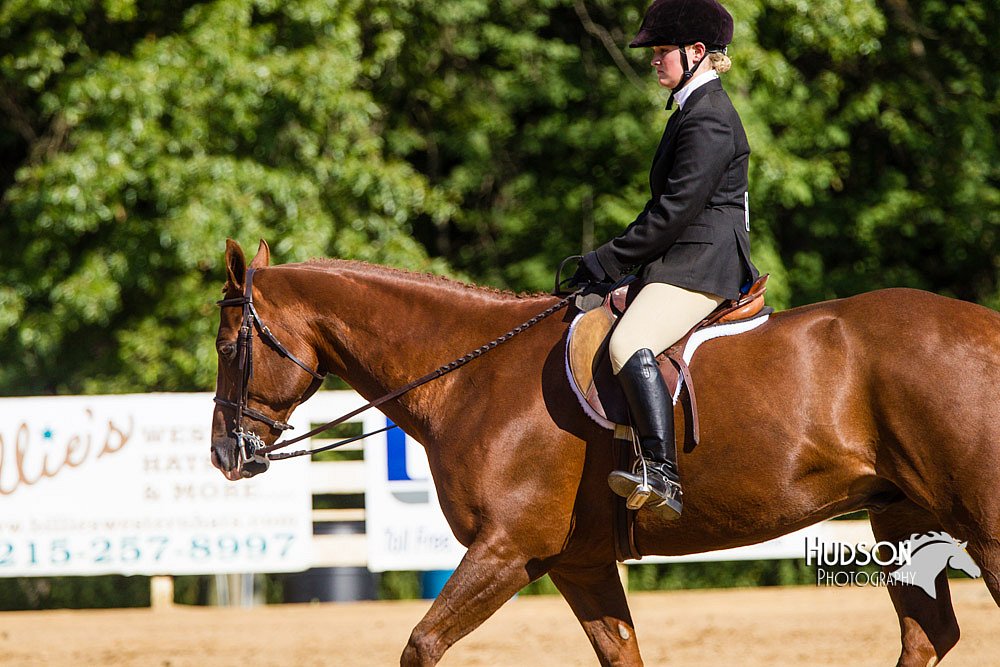 4H-Distr-090813-1746.jpg