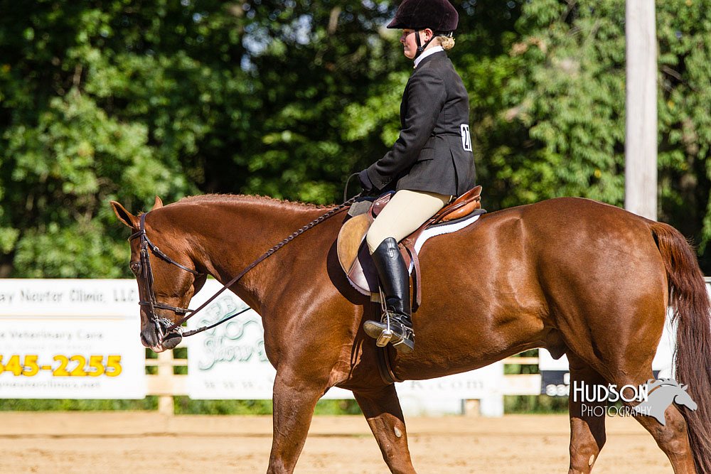 4H-Distr-090813-1747.jpg