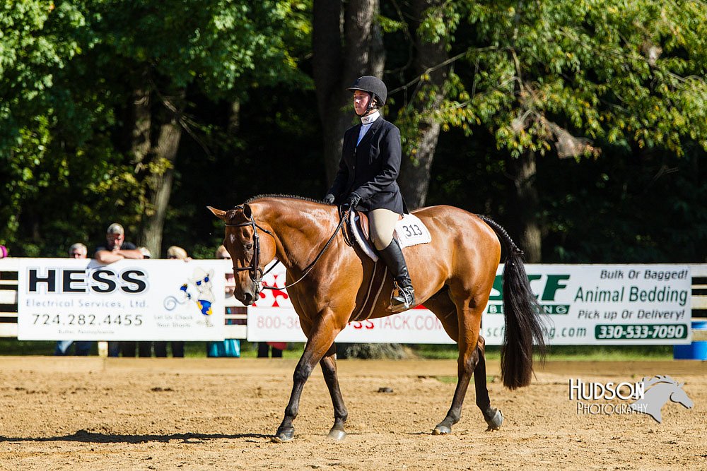 4H-Distr-090813-1749.jpg