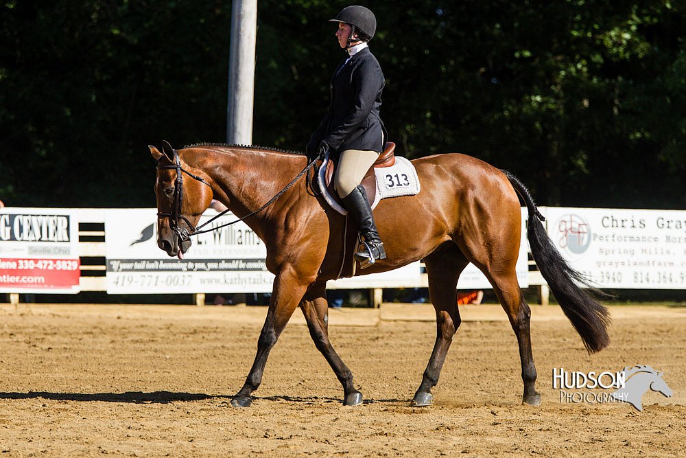 4H-Distr-090813-1750.jpg