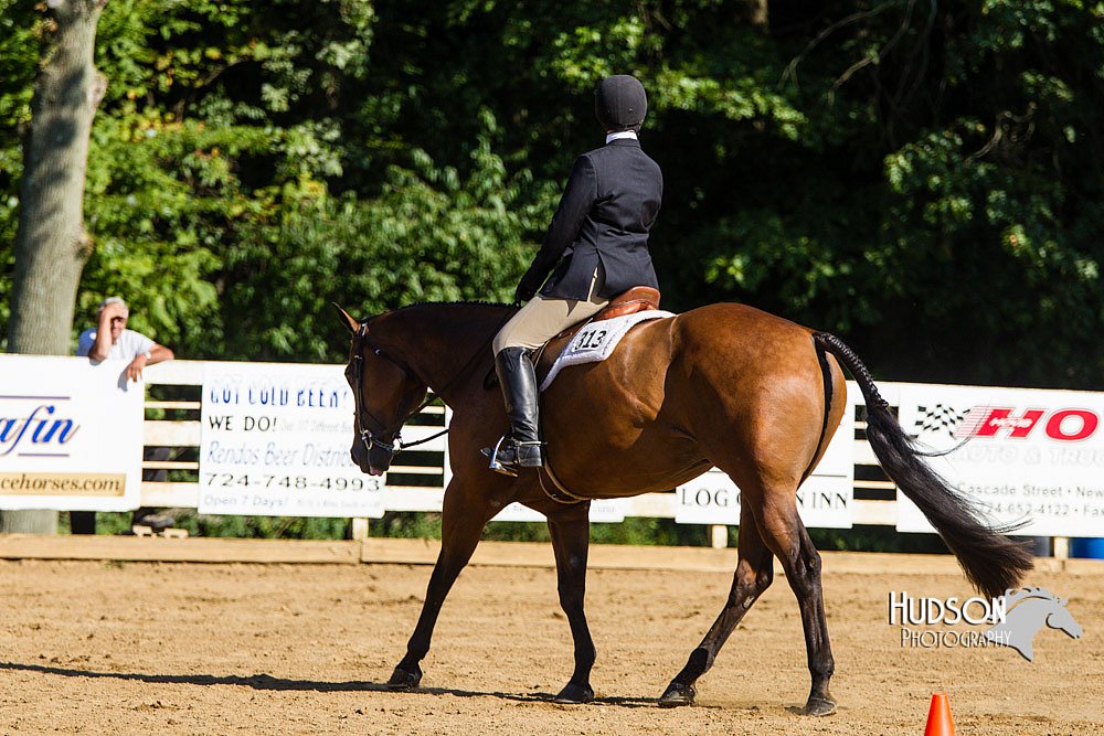 4H-Distr-090813-1752.jpg