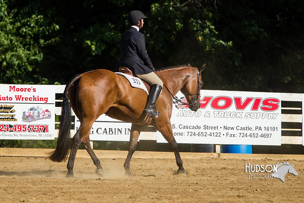 4H-Distr-090813-1753.jpg
